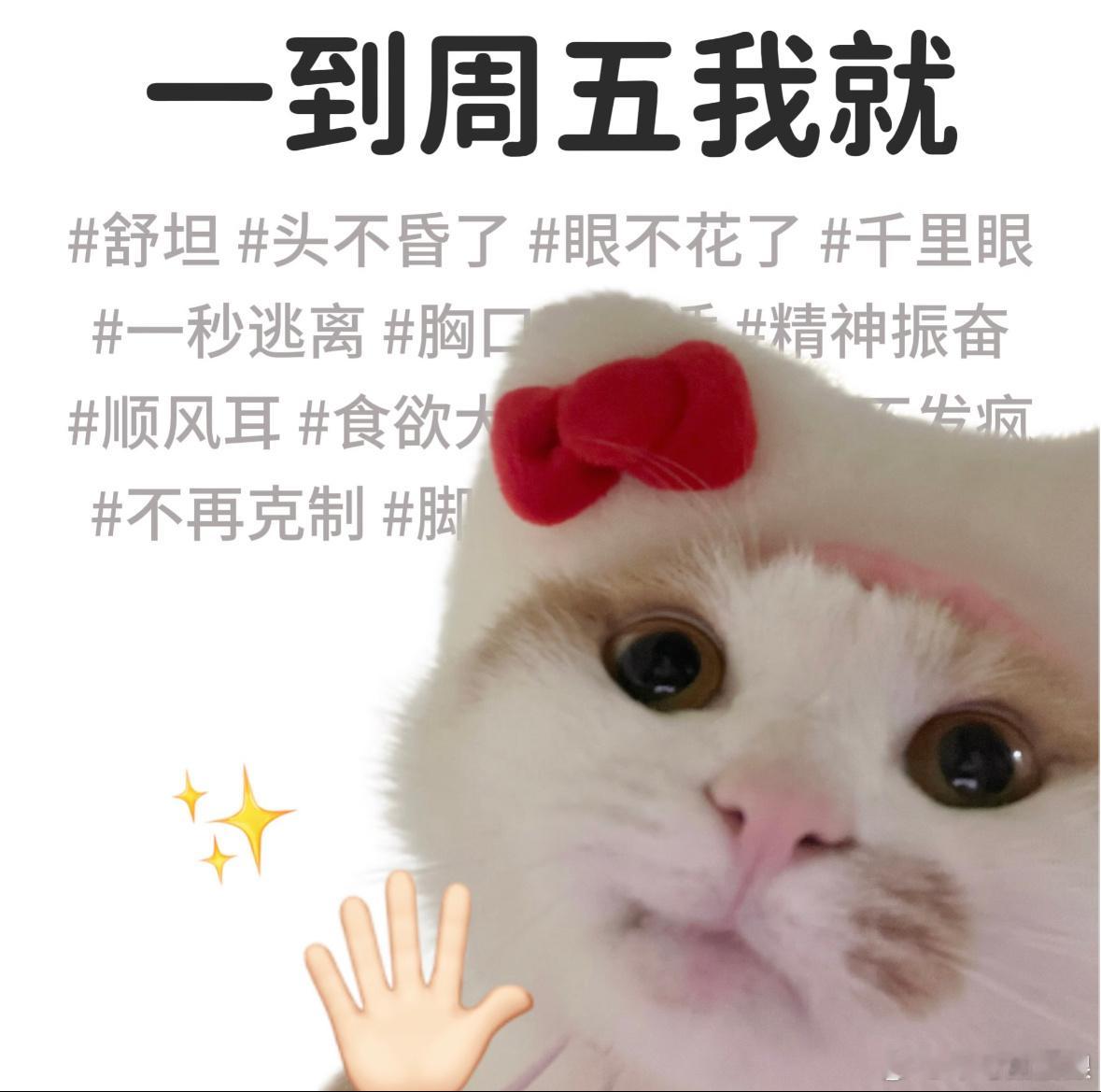 大家早哦～周五啦！ 