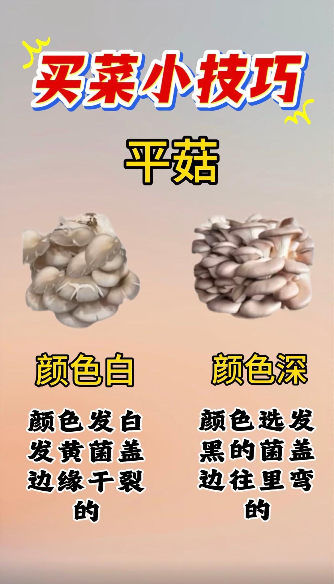 生活小常识 买菜小技巧每天分享 蔬菜挑选小技巧 教你买菜小技巧买菜挑选小技巧 蔬
