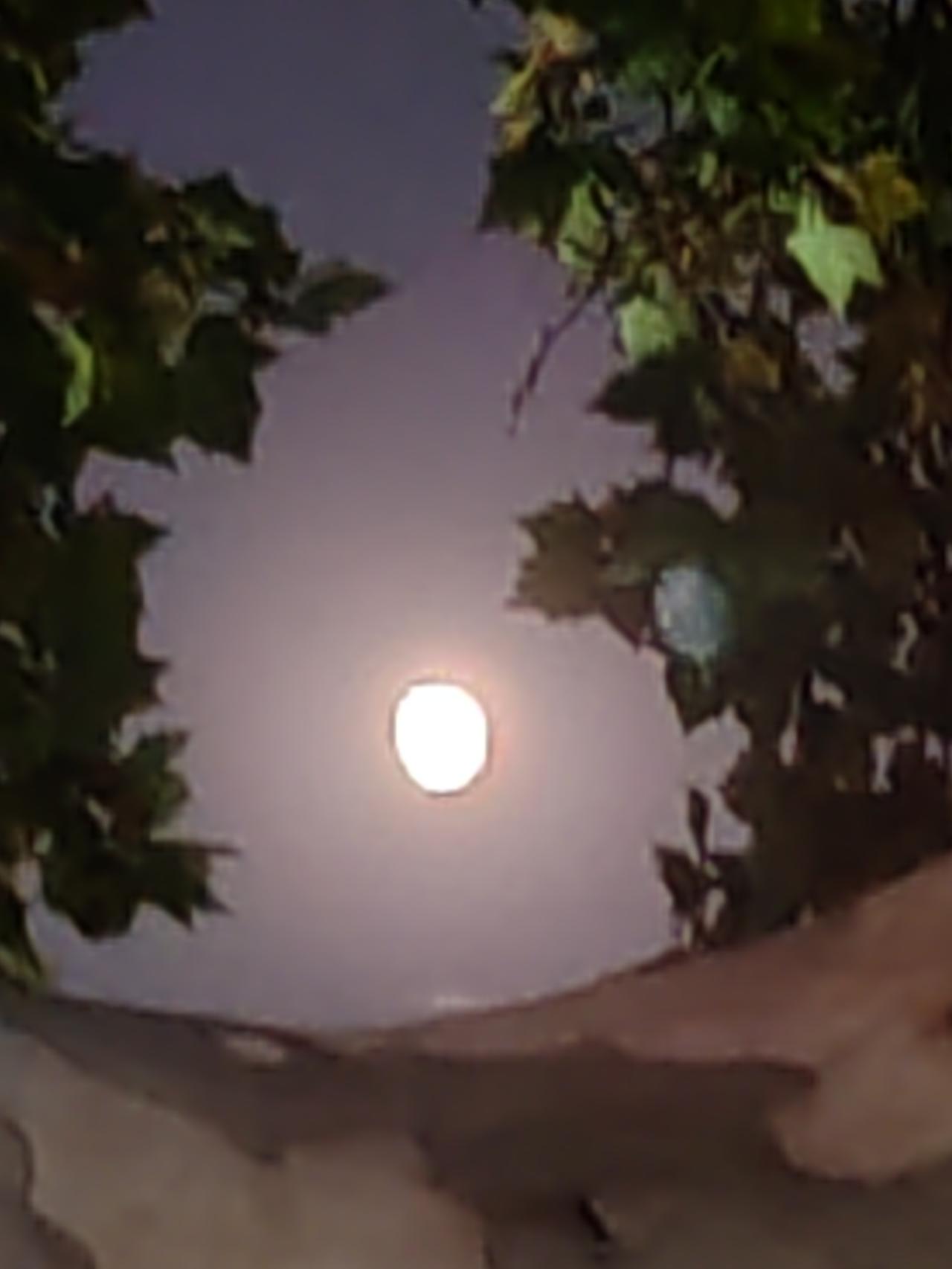 下联：雨来雨散雨无情；请对上联：得福得祸得有因