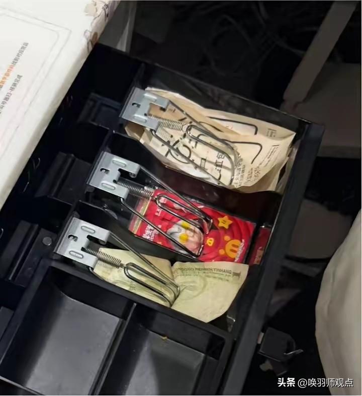 全网最蠢小偷！偷东西后连发42条视频挑衅：我是小偷快来抓我

2026年3月21