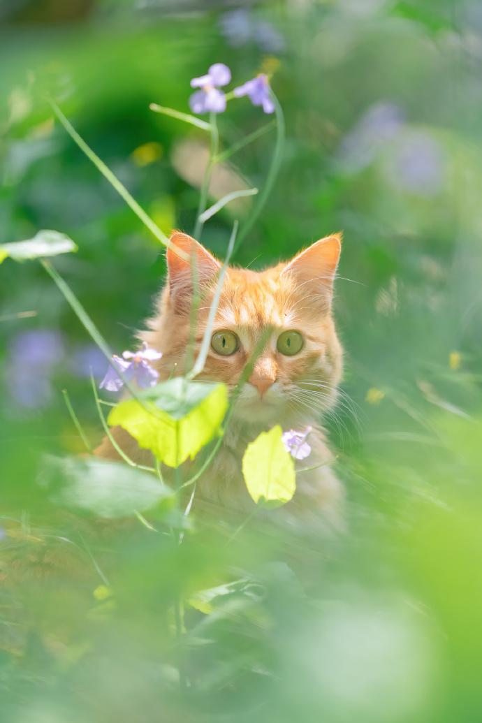 鹰酱：我们NASA成员国扩展为56个，欢迎塞内加尔入伙，我们将重返月球，开启人类