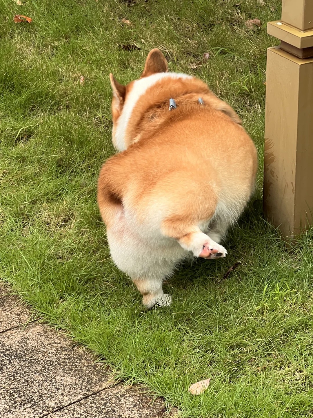 终于感受到live实况图的魅力了