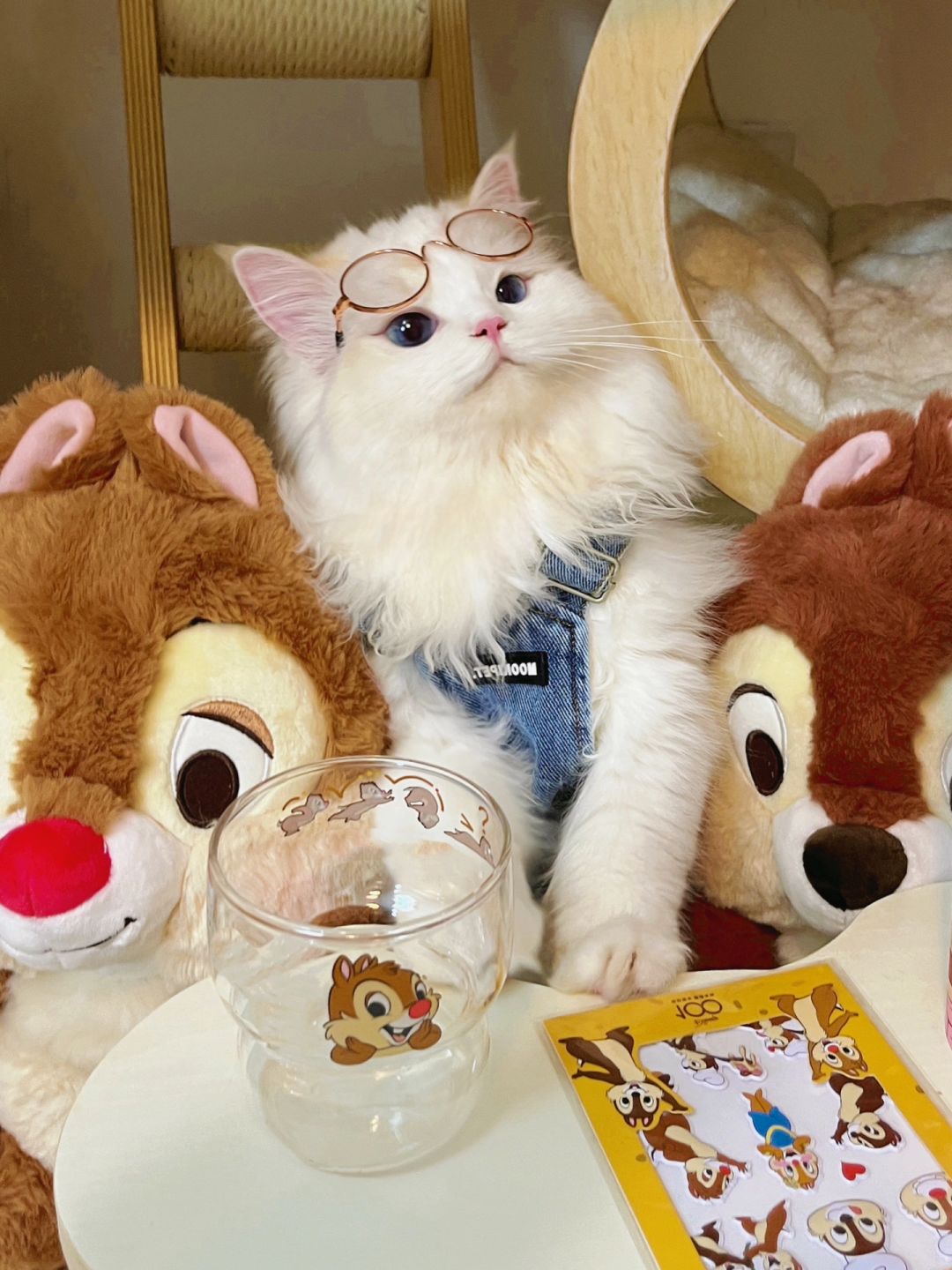 迪士尼新出的猫猫玩偶❗️⁉
