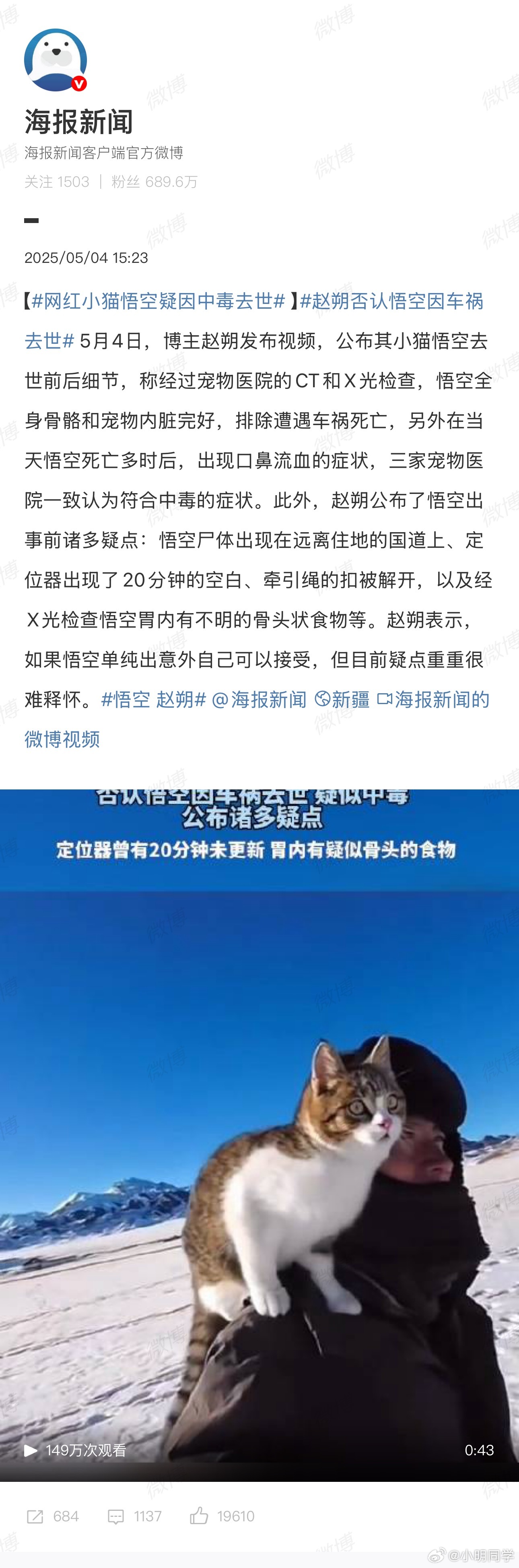 网红小猫悟空疑因中毒去世网红小猫悟空疑因中毒去世，希望赶紧查明真相！ ​当时看到