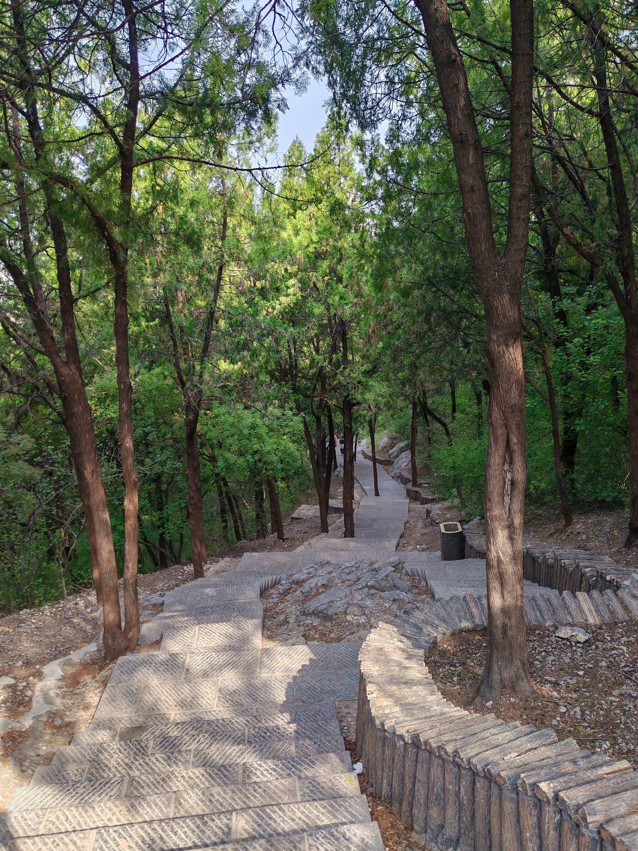 济南英雄山是一座英雄的山，安葬了1700名烈士，绿化率90%以上，有济南战役纪念