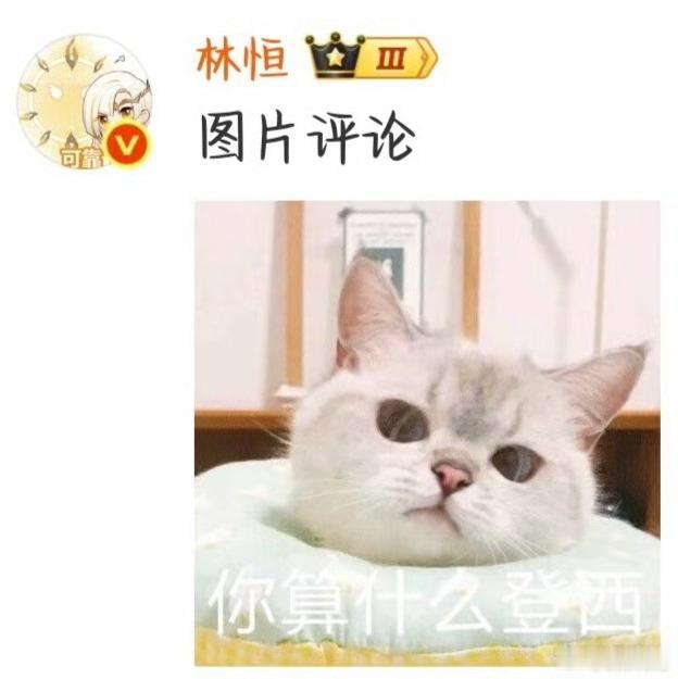暖阳 一诺