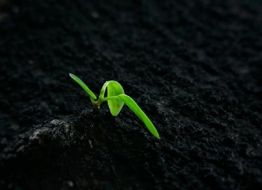 真正的觉醒是，
看到自己的价值，
不需要任何人评价。
当你不再伸手要来，
才能触