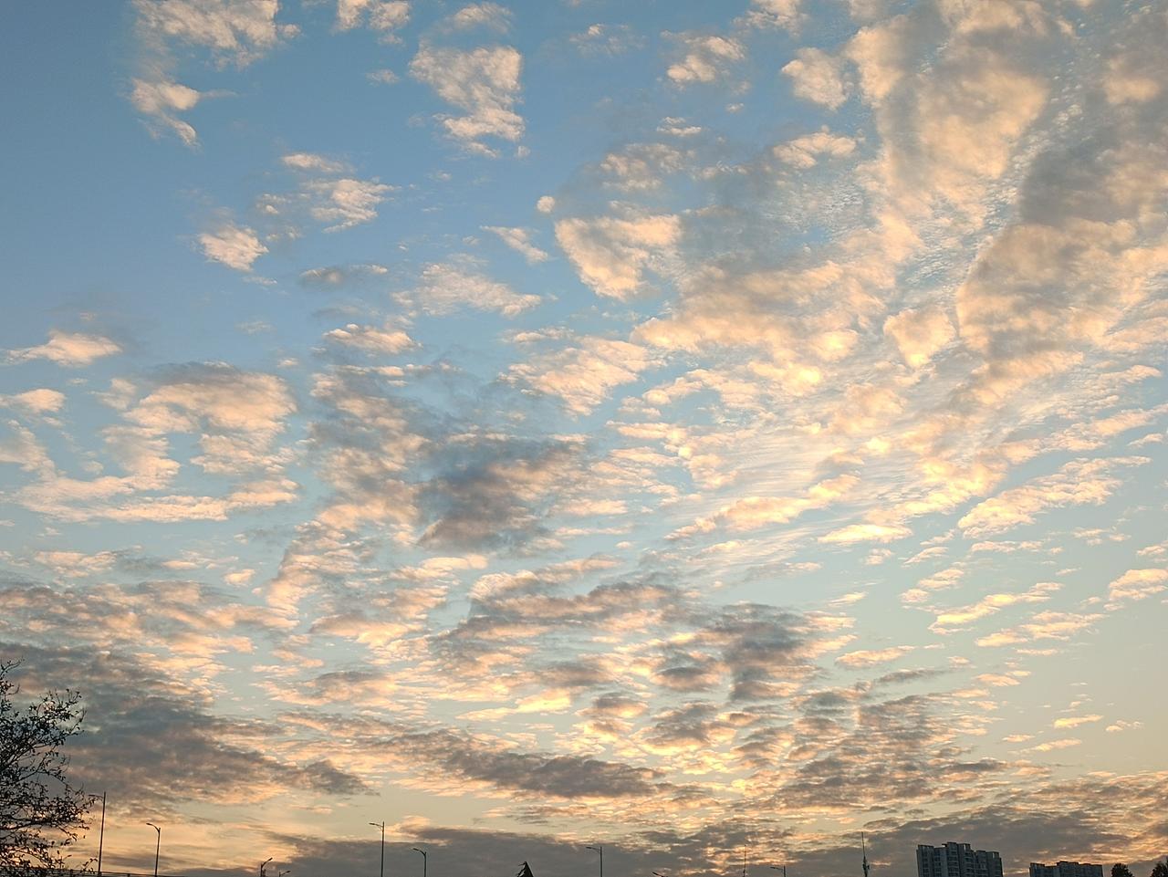 夕阳好美，风铃花也美！