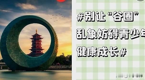 “谷圈”是个什么圈？
简单说“谷圈”就是喜爱购买、收藏爱好者，聚成的圈子，名曰“
