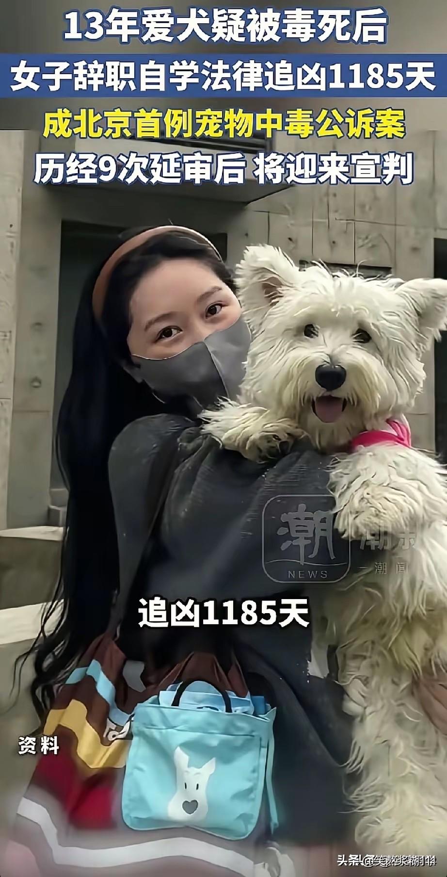 养狗的人缺不缺爱，我不清楚，我也不反感。但对于把狗当人的养狗人，我是觉得他们有病