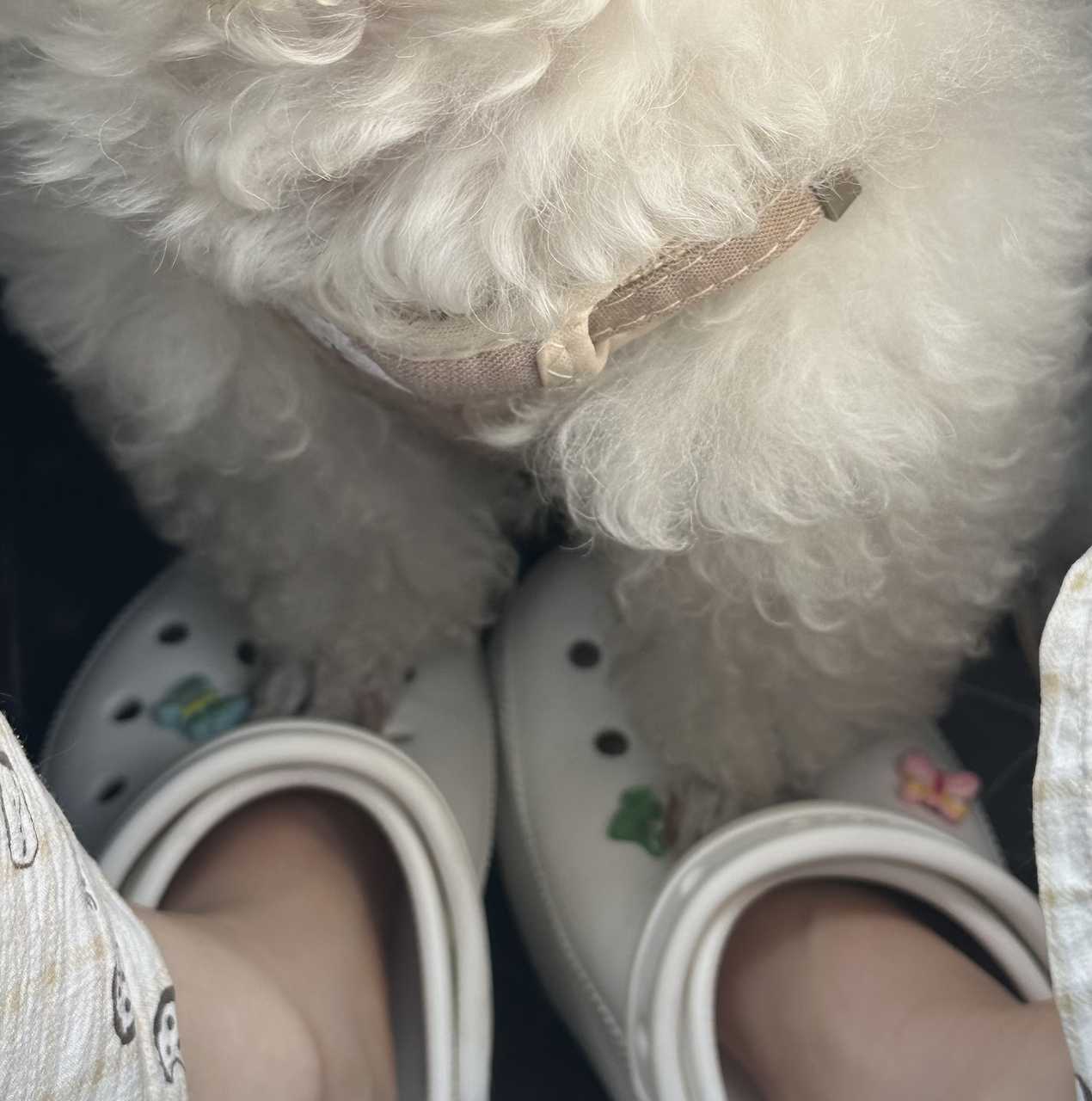 【心灵丑】好像是嫉妒我有洞洞鞋 