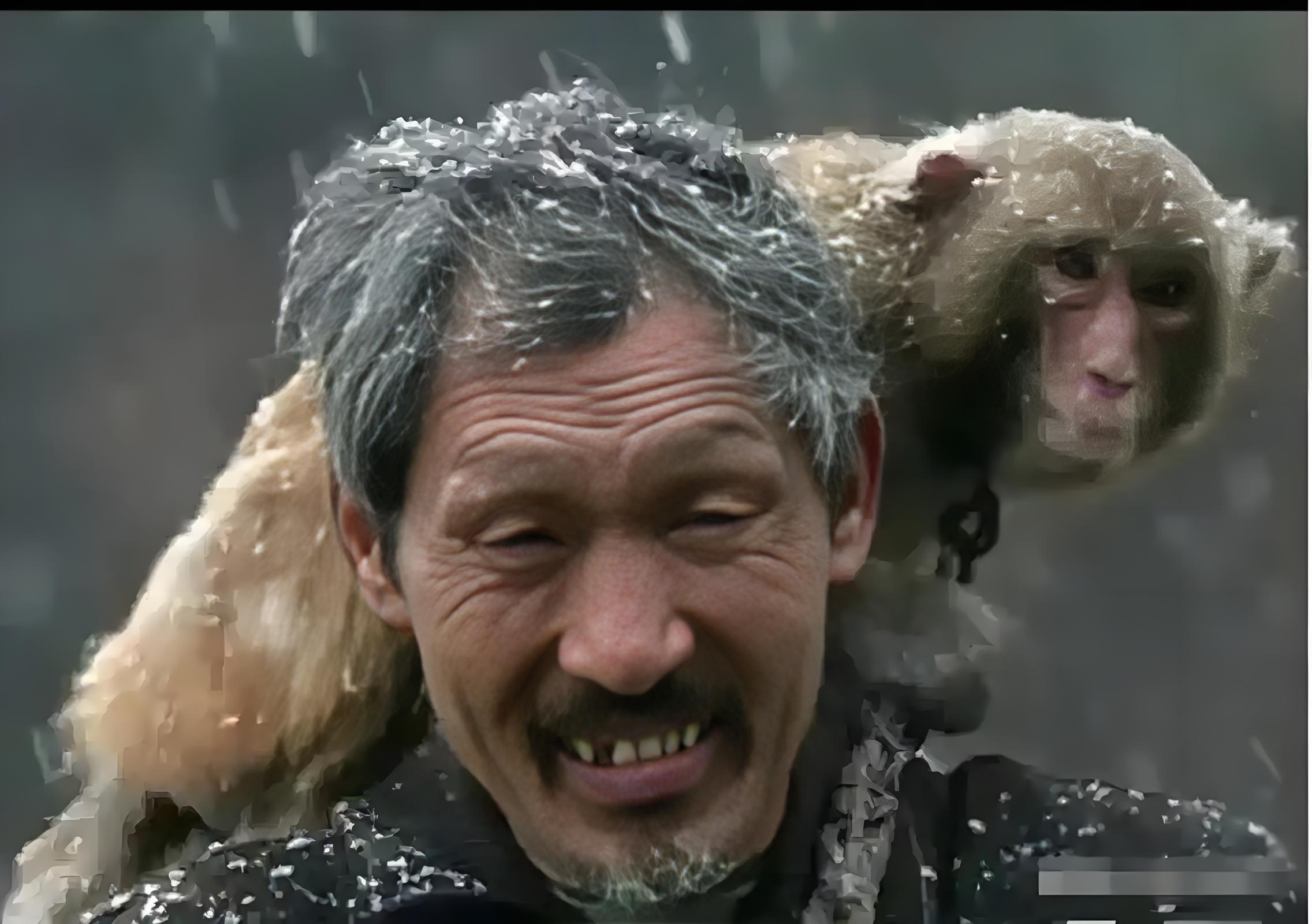 有一位老人收养了一只猴子，养了5年，等老人去世后，猴子每隔5天就痛哭一...