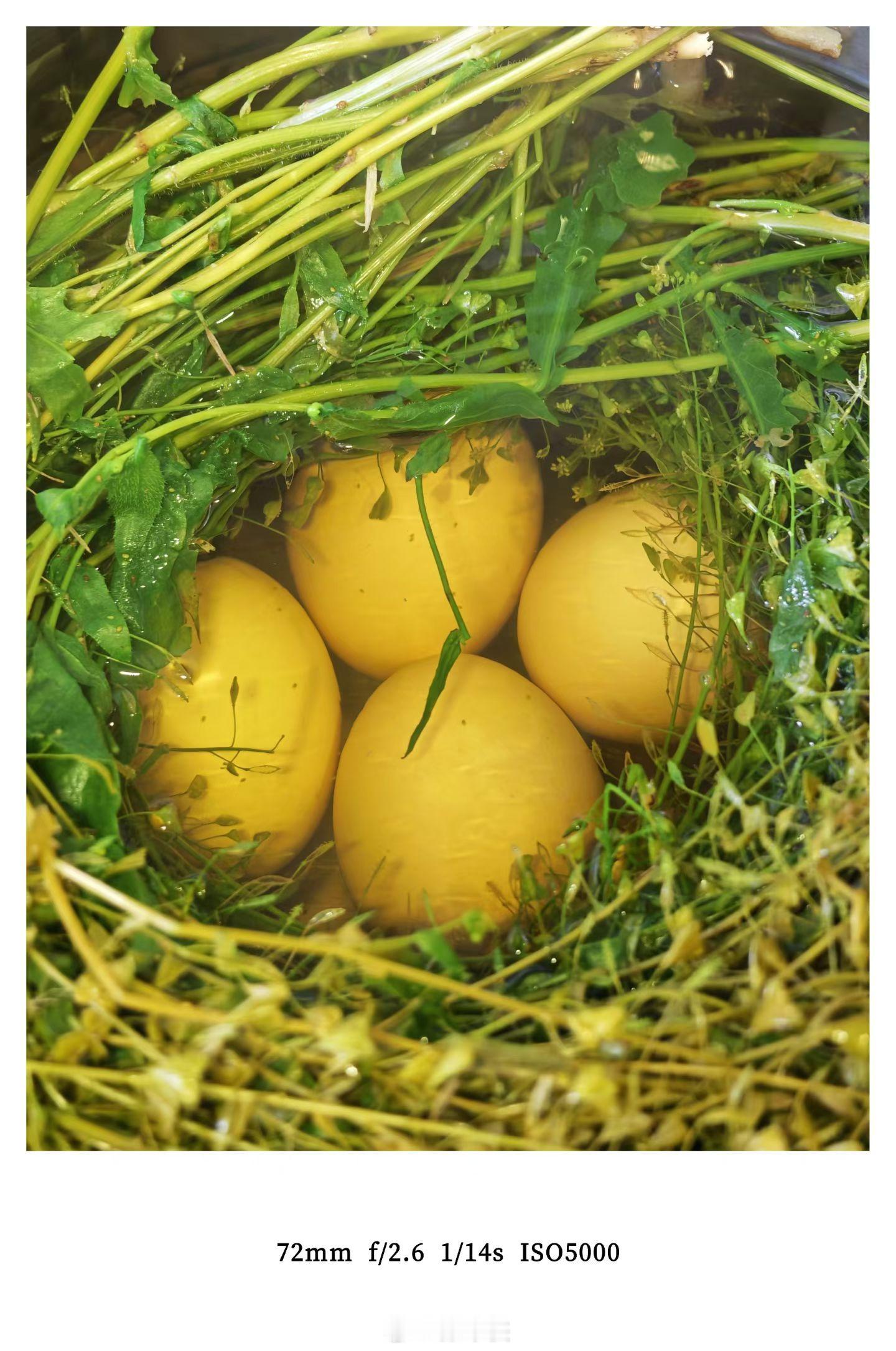  三月三，荠菜香，煮个鸡蛋，讨个安康。早安