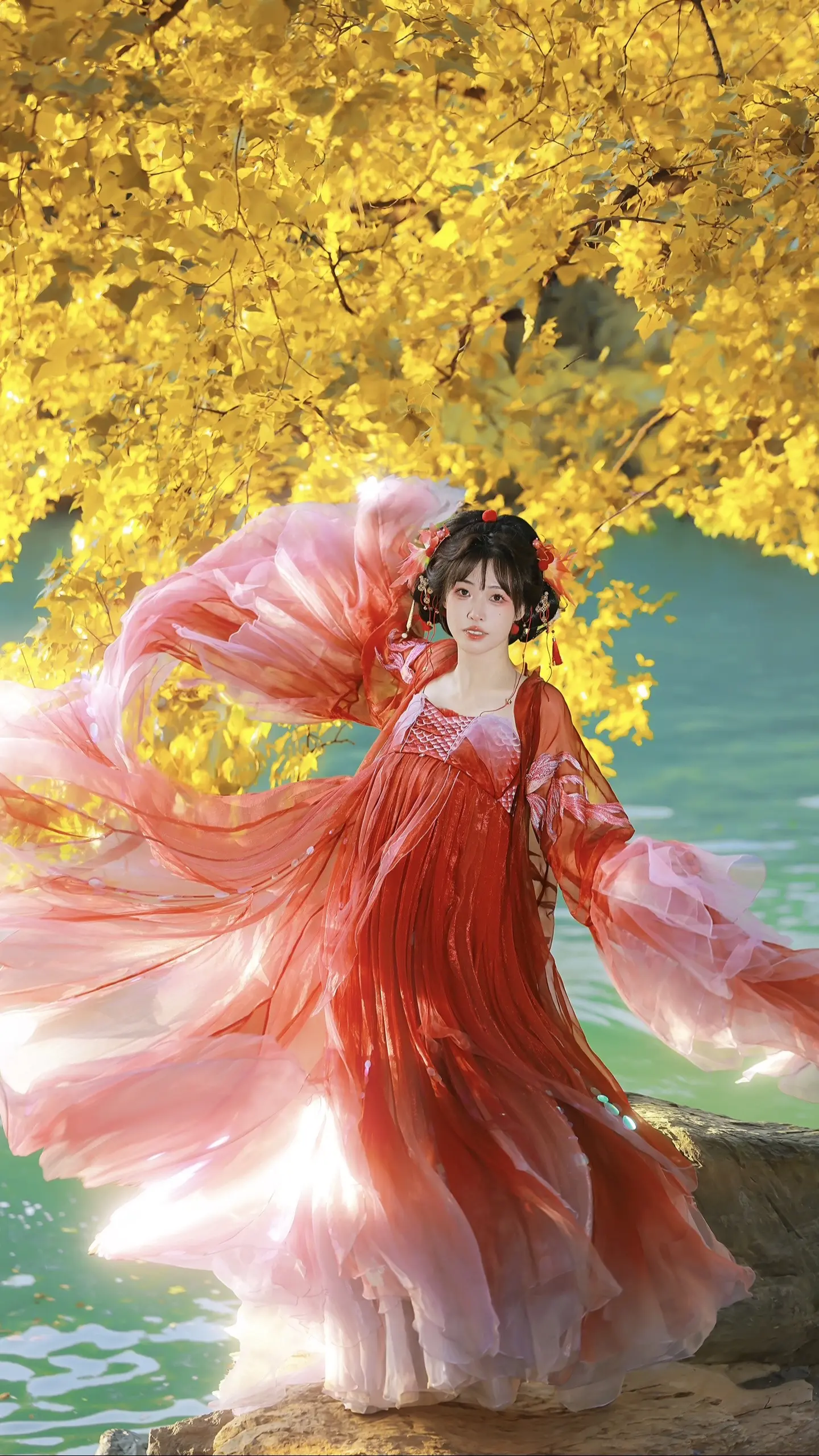 秋天的小锦鲤～『客』。