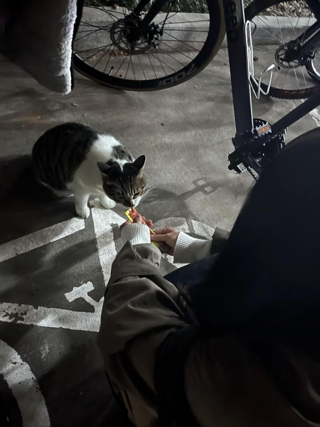 我与我周旋久，宁做我