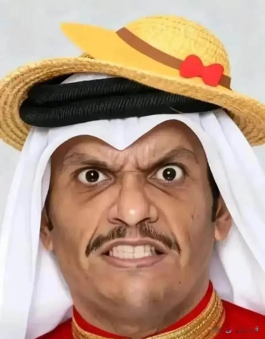 卡塔尔传来消息。
4月28日，卡塔尔外交部发言人安萨里突然表态：坚决反对把霍尔木