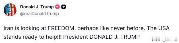 虽然美国国内正进行反对特朗普政府移民与海关执法局（ICE）特工的广泛抗议活动，以