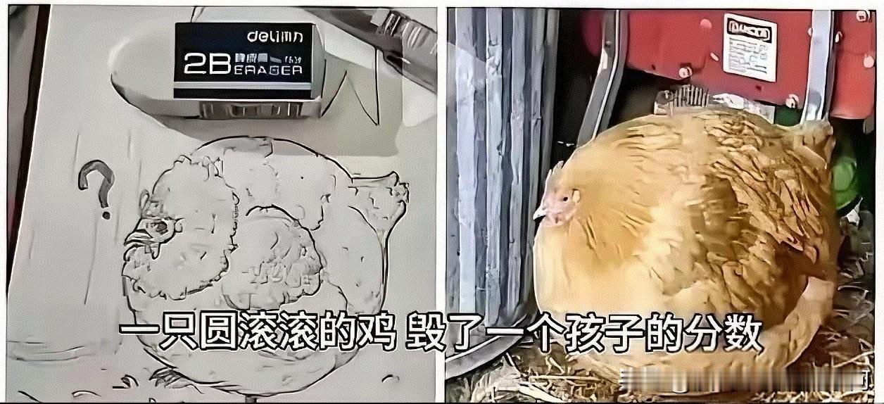 简直太离谱！！！
佛山女孩画“胖球鸡”被判不及格，家长一张实拍图狠狠打脸刻板教育