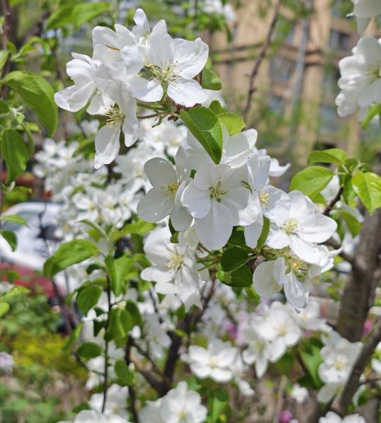 突然想通一件事：
很多人压根没意识到，家里一日三餐有人买菜、做饭、收拾，把一家人