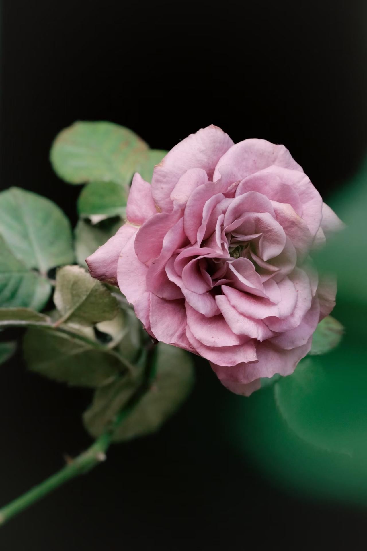 老了什么是你的底气健康的身体，存款的多少，其他的都可以是附加的。