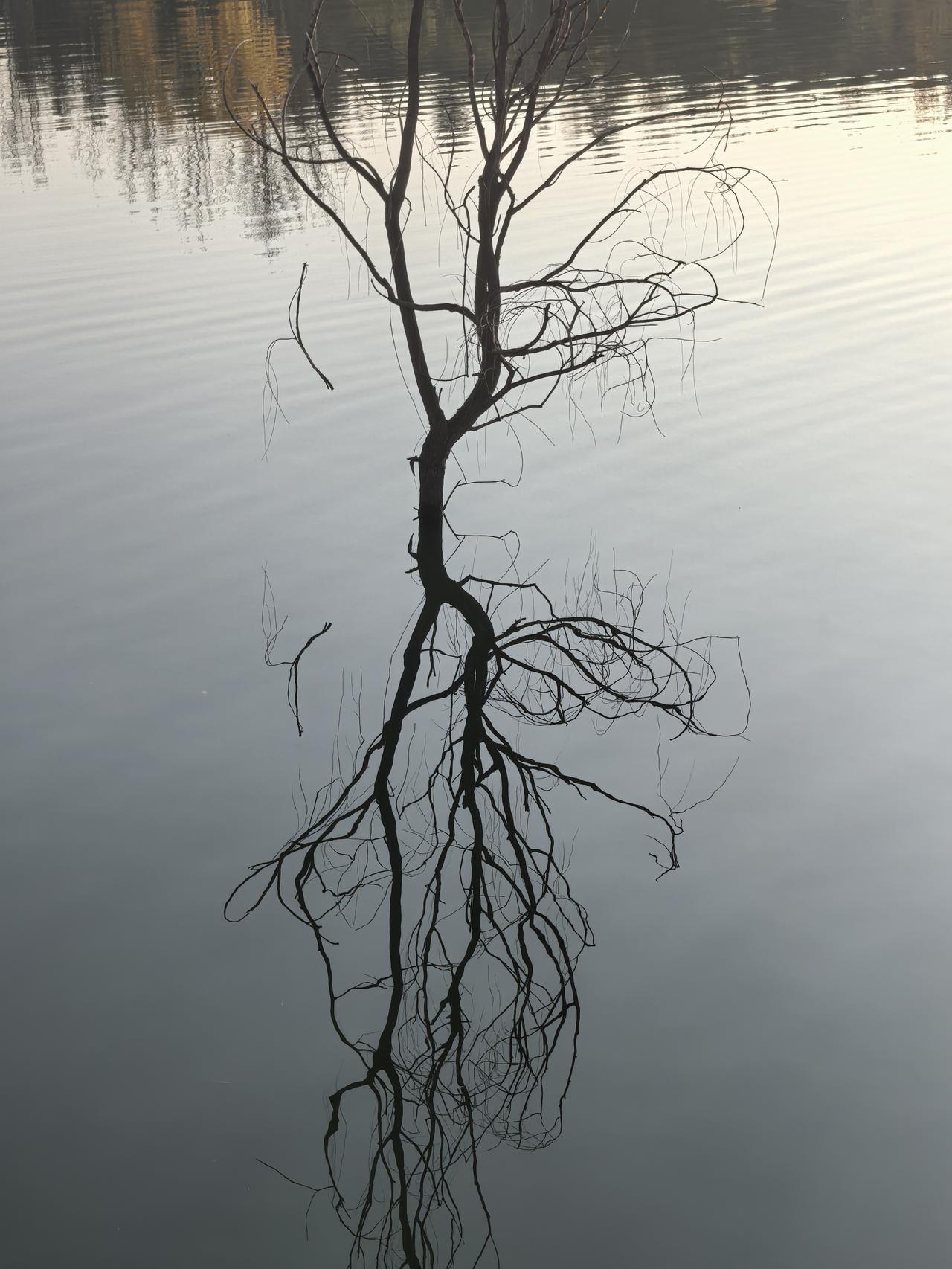 可以把你最近拍的照片分享一下吗