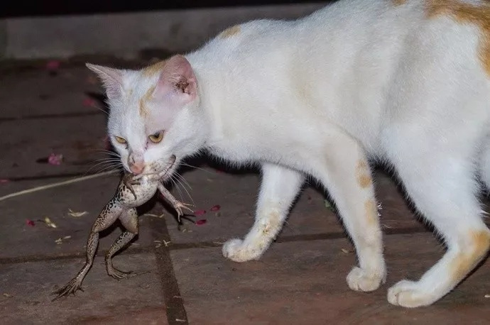 #高校鼠头事件涉事窗口几乎没人去吃饭#别说当事窗口了……武汉这边鸭脖店的生意都差