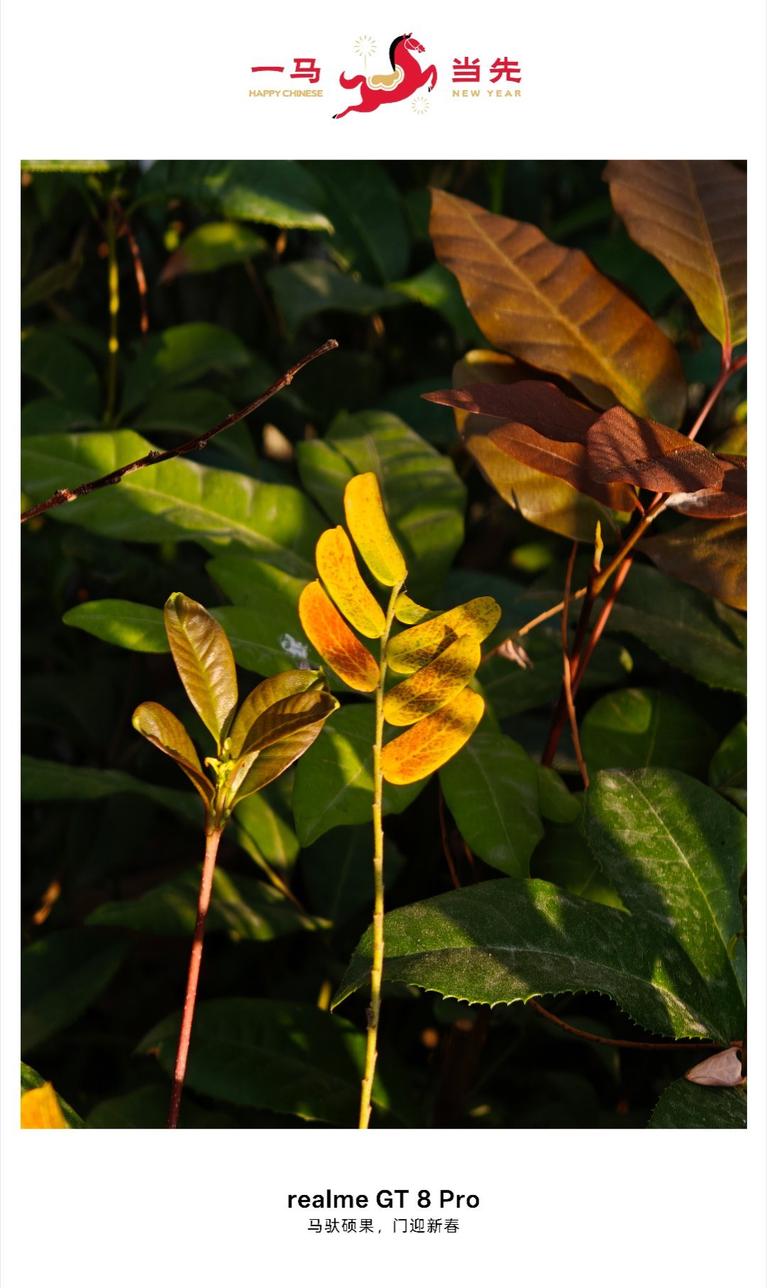 今天的天气还是相当不错的。又是可以穿短袖的一天。不过这会又开始起风了。假期过半了