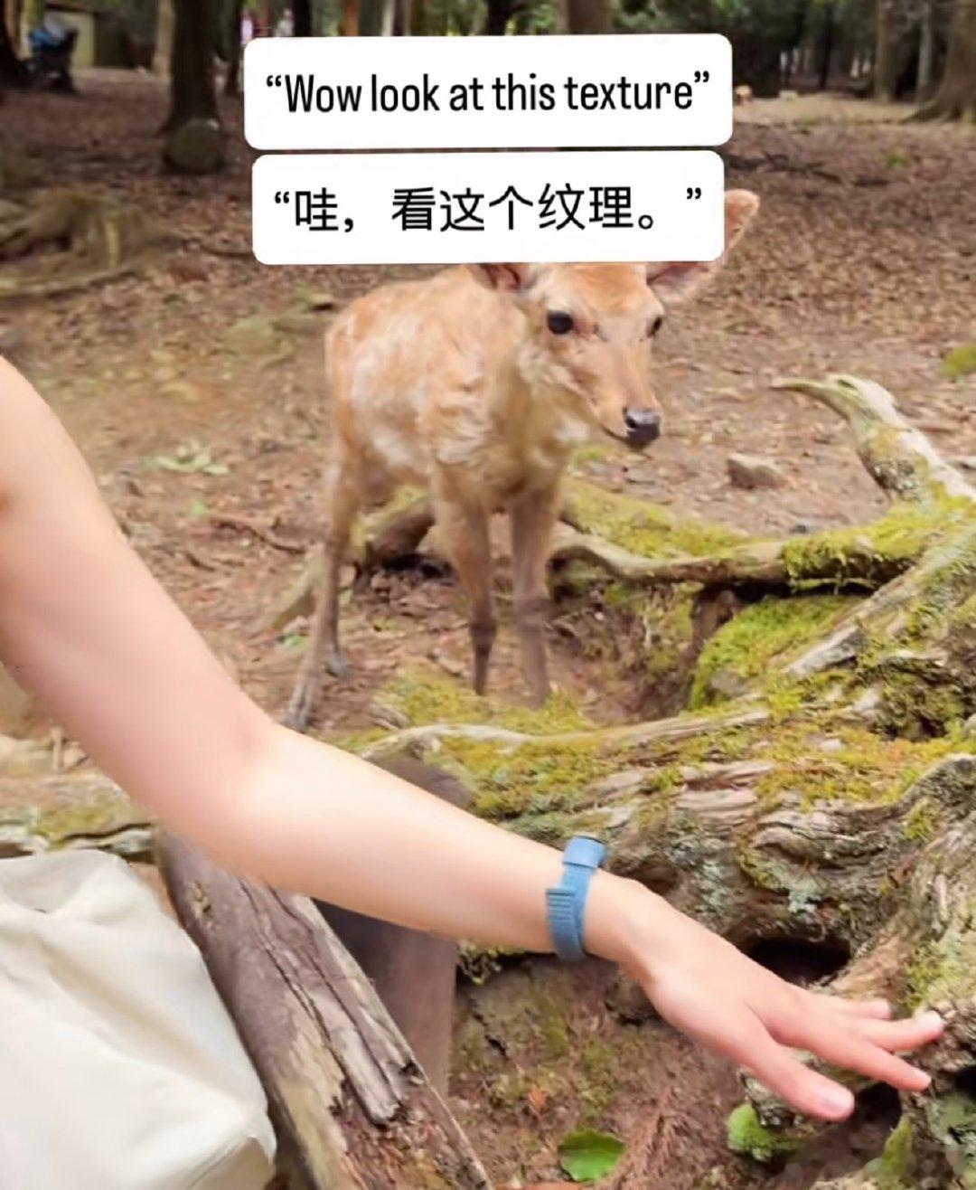 是我。 