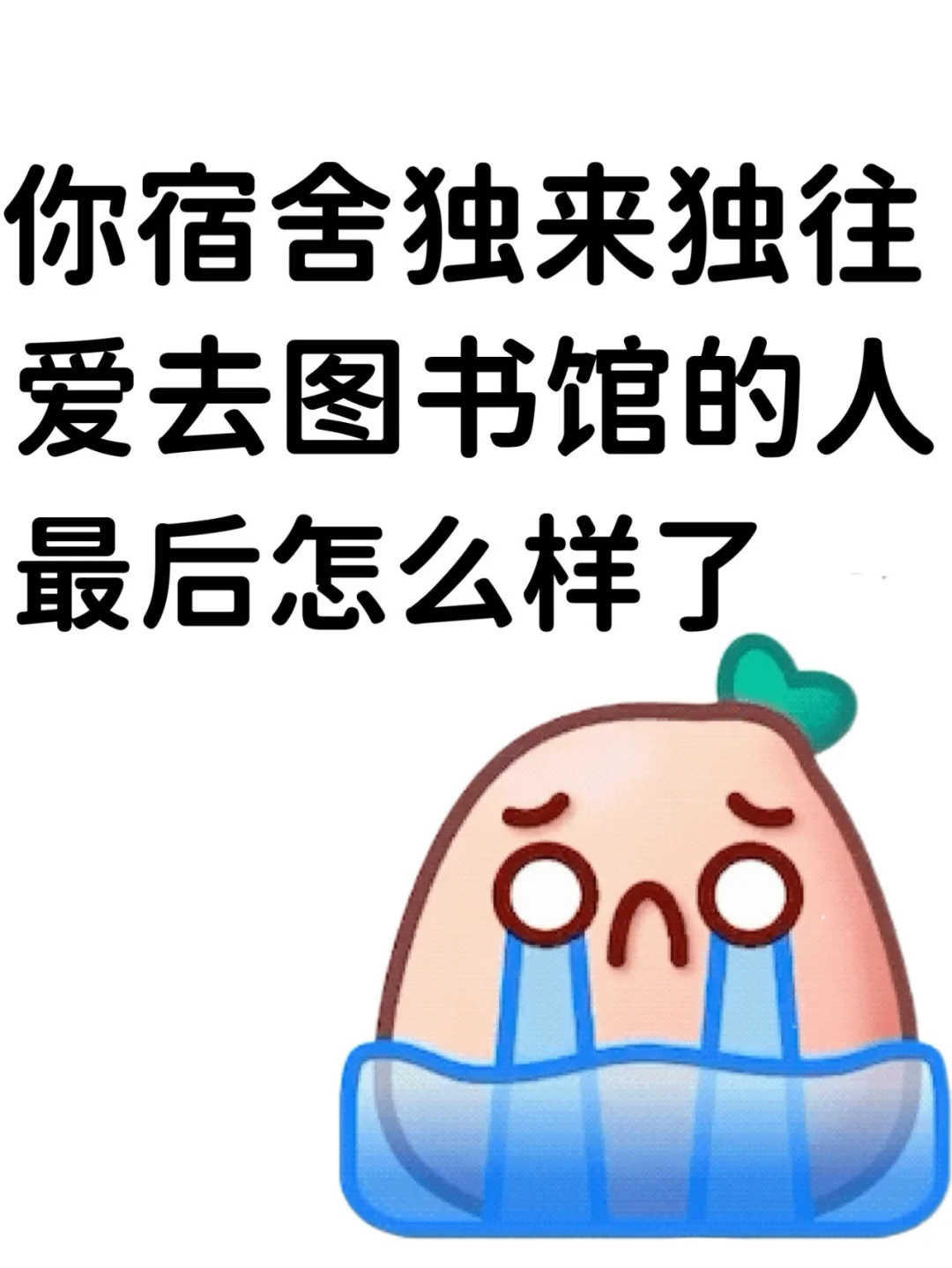 你宿舍独来独往，爱去图书馆的人怎么样了？