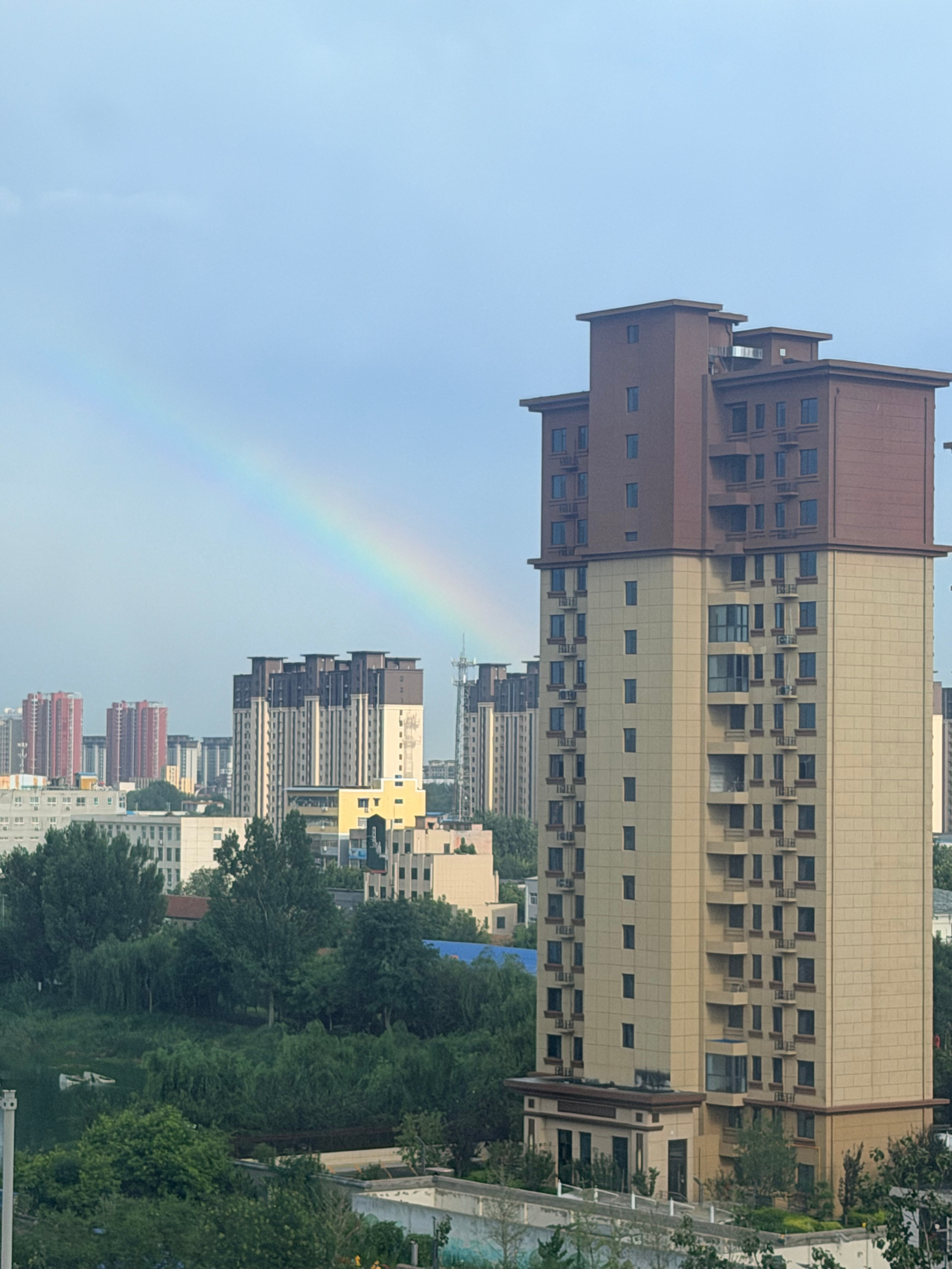 🌈 