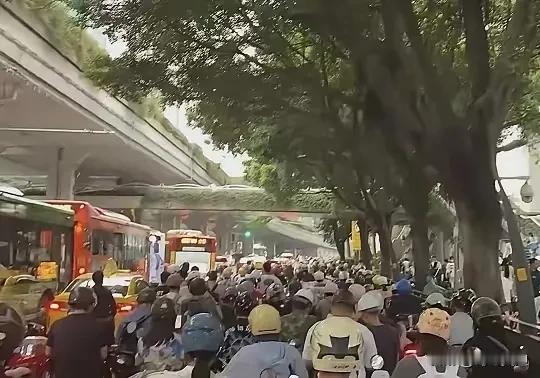 建议给电动车电鸡立法，走机动车道和机动车同等责任，闯红灯直接罚款2000，所有电