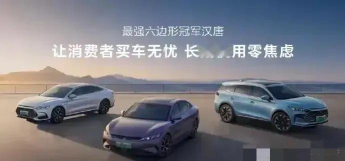 2024年汽车市场的王炸当属比亚迪汽车！

春节过年开工首日，7.98万元的比亚