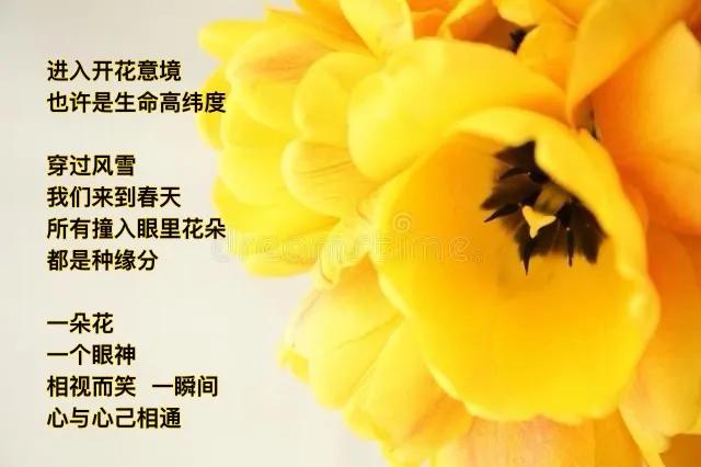 树尖彩霞烧，
春色正涨潮。
今日看花去，
也学撩个骚。
