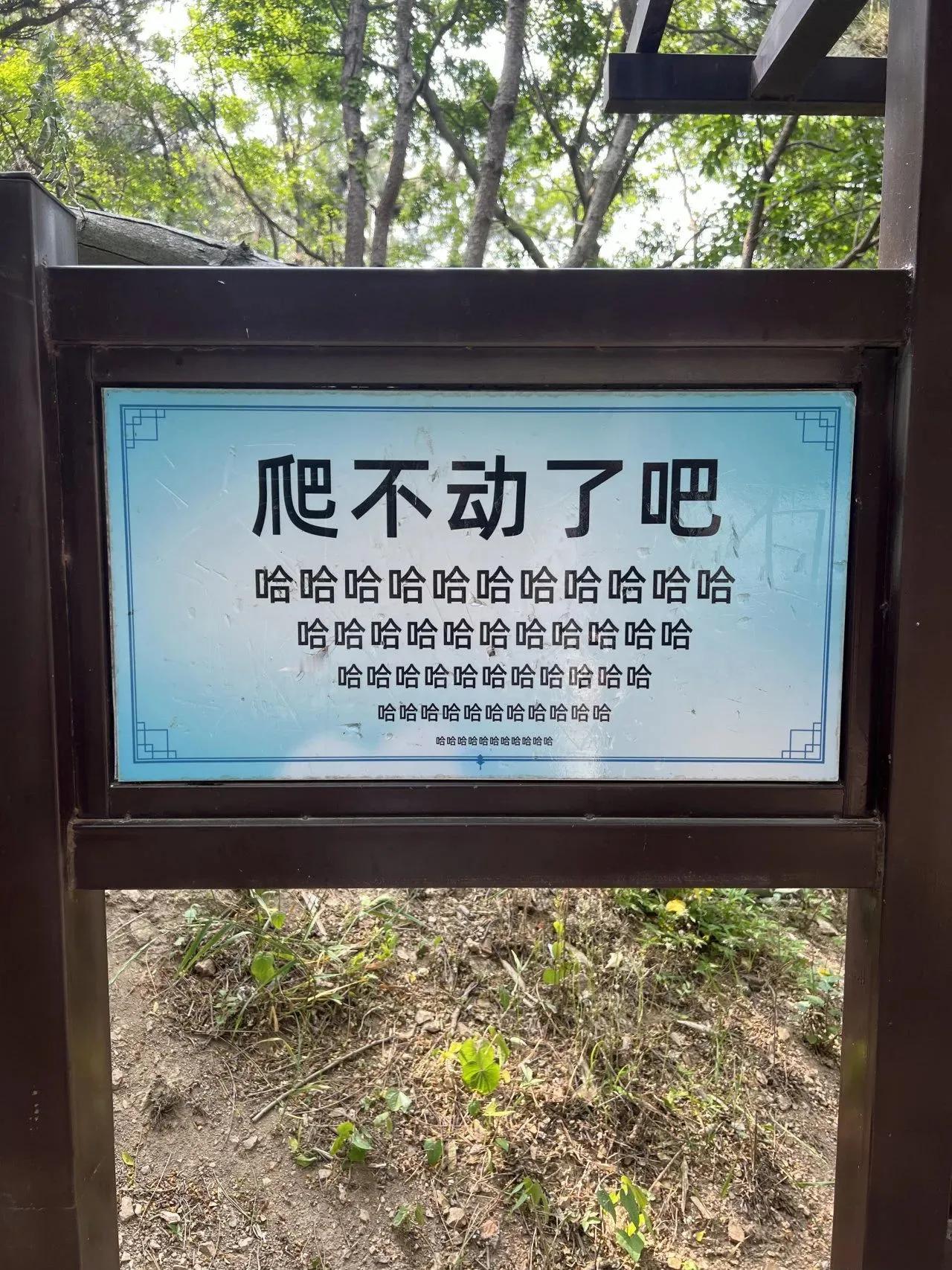 老夫一生要强，就看不得这些！青岛琅琊台景区，谢谢你鼓舞士气，情绪价值拉满了！