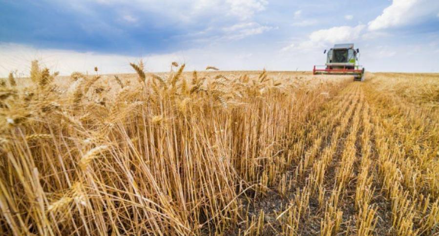 全球疯抢化肥背后，一场隐蔽的粮食危机已悄然蔓延

小派敢说，最近大家都在为油价涨
