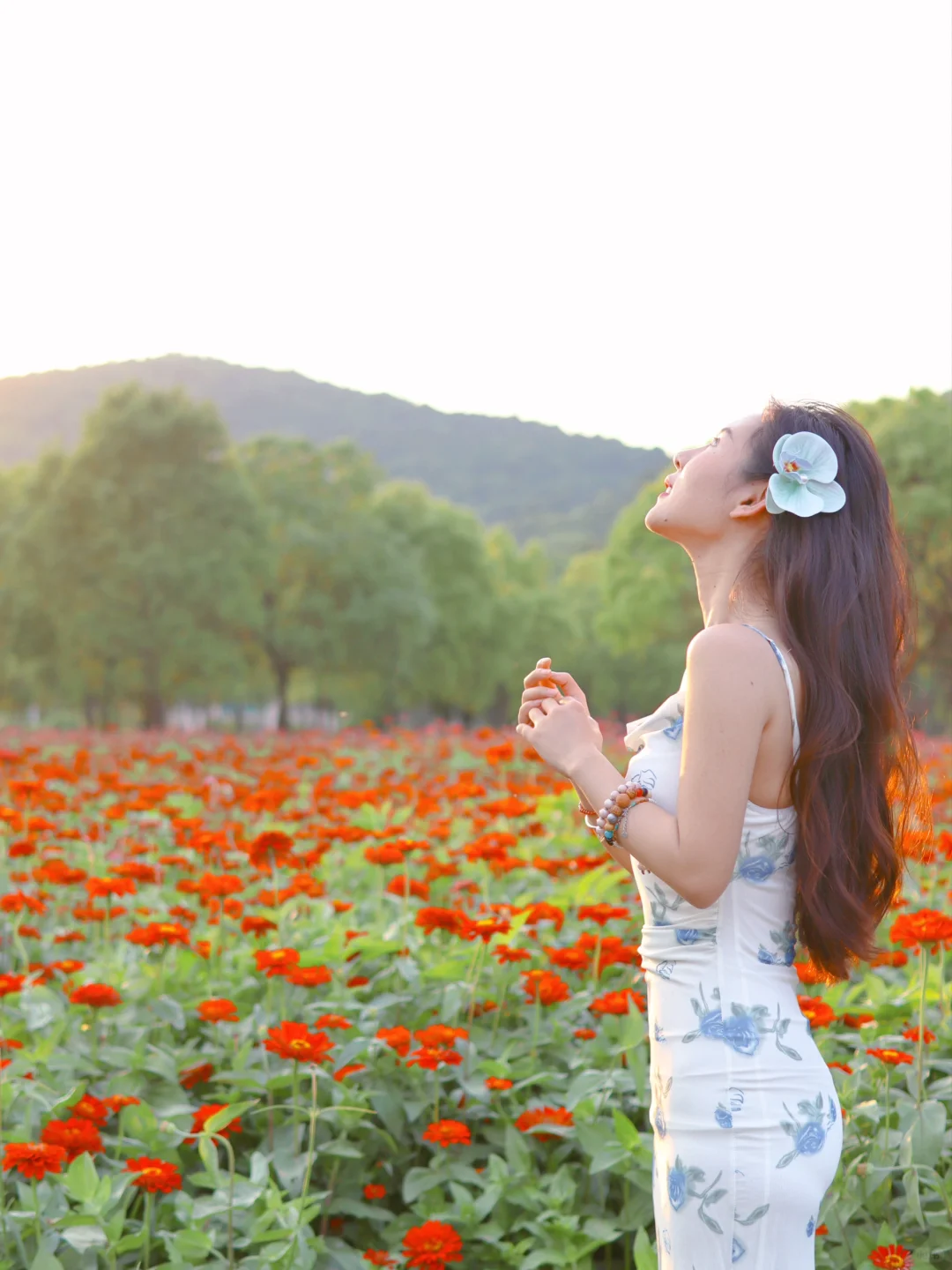 怎么也飞不出，花花的世界🌎