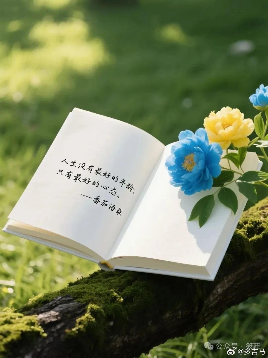 利益。只有充足的利益，才有驱动人们的魔力。这就是这个世界的眞实面目，极其残酷，却