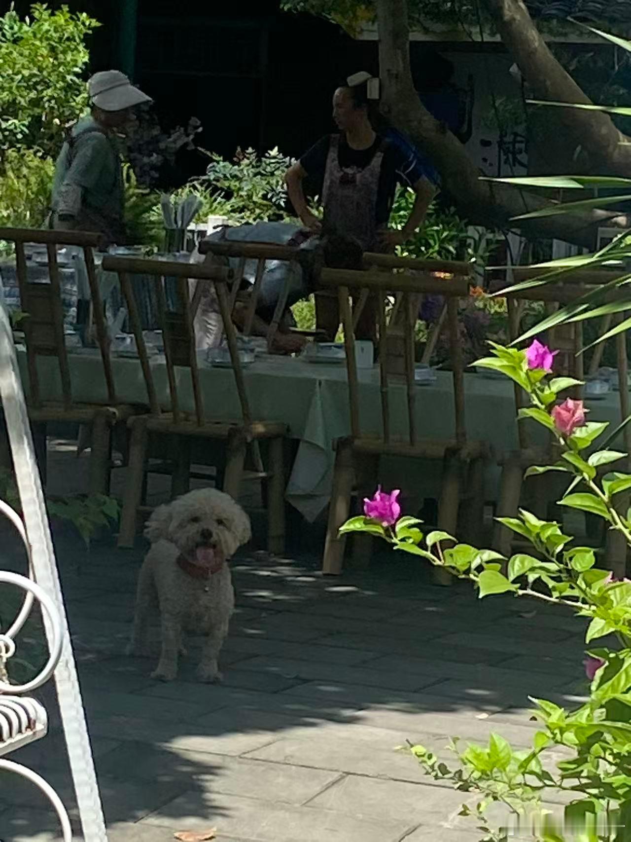 家族群里今天聚会，发了好多照片，我的奶盖在农村里活的潦草但自由快乐[哈哈] ​​