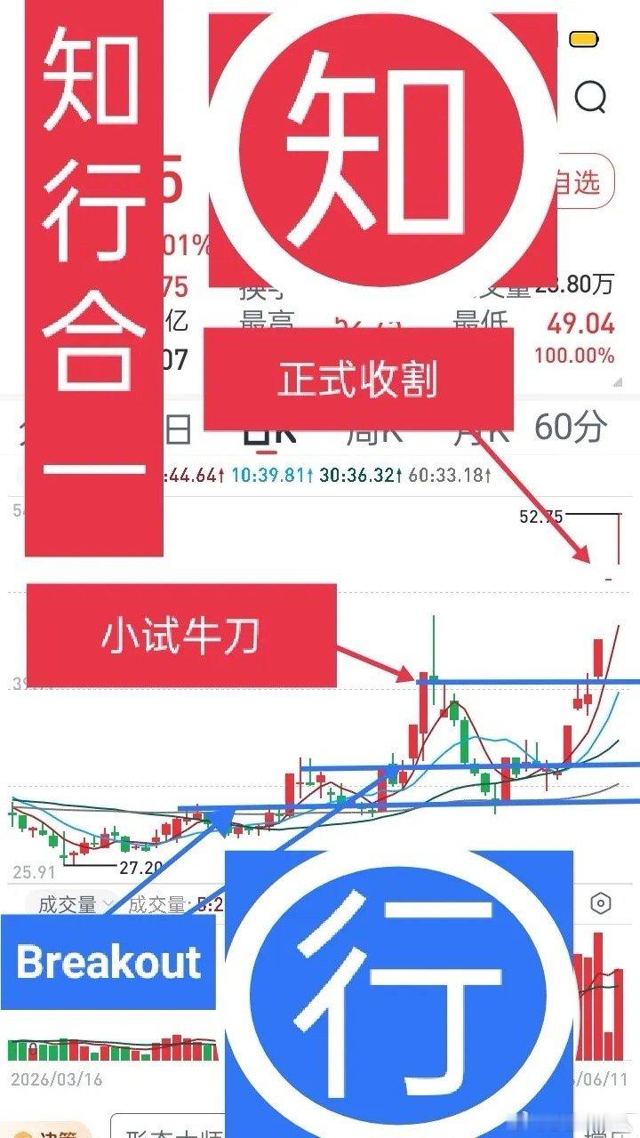 短线交易认知和逻辑思维，这两方面出现偏差，那就只能当韮菜，最终被无情地收割。认知
