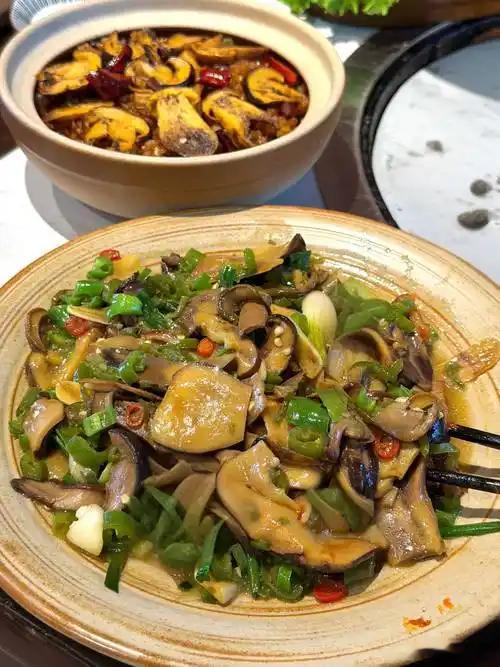 见手青这东西，好吃是真好吃，吓人也是真吓人。想安全下嘴，记住这三条铁律就够了。第