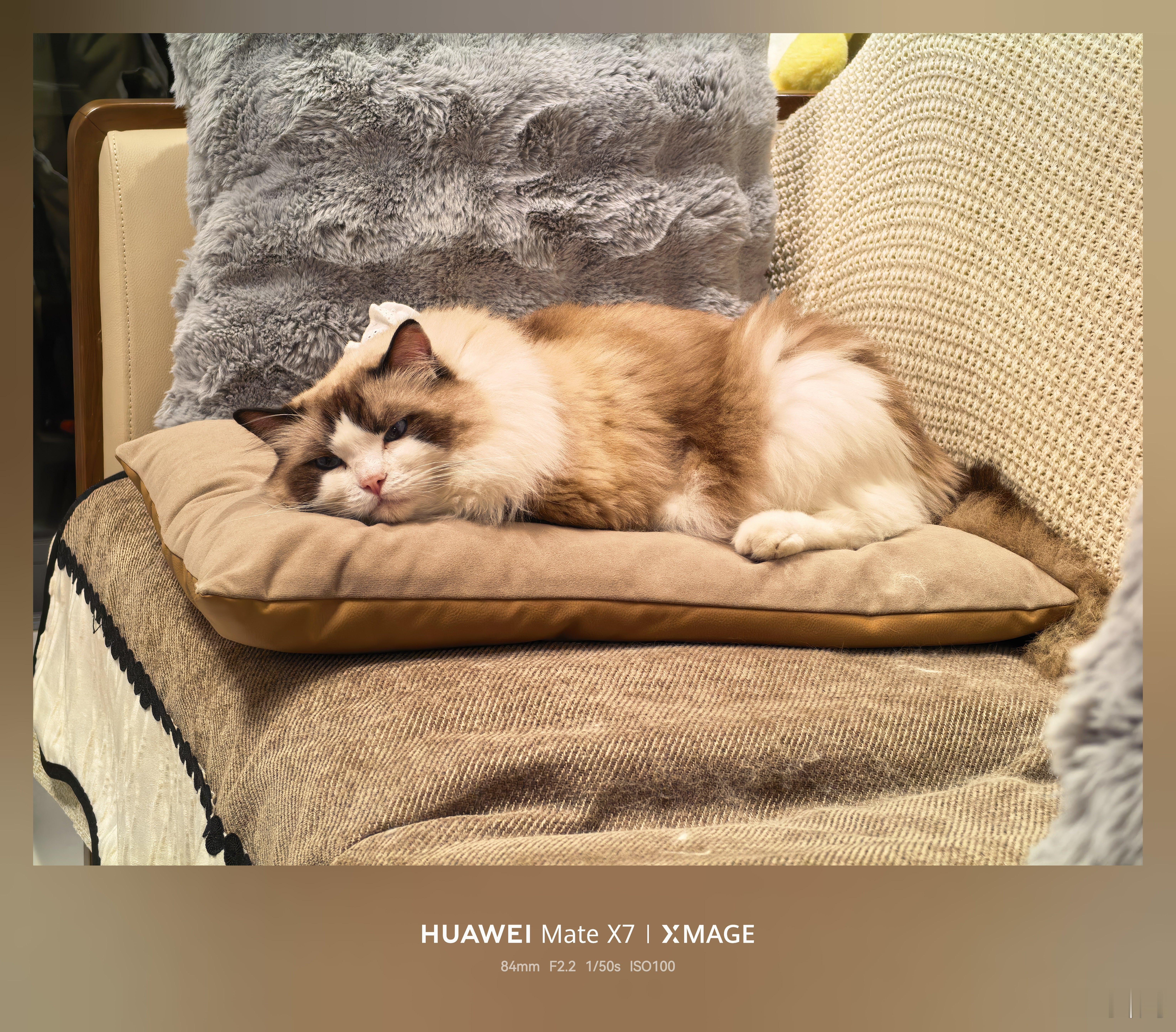 镖人口碑升至第一 前几天跟爱妻去看了飞驰人生3，前半段比较老套、无聊，笑点较少，