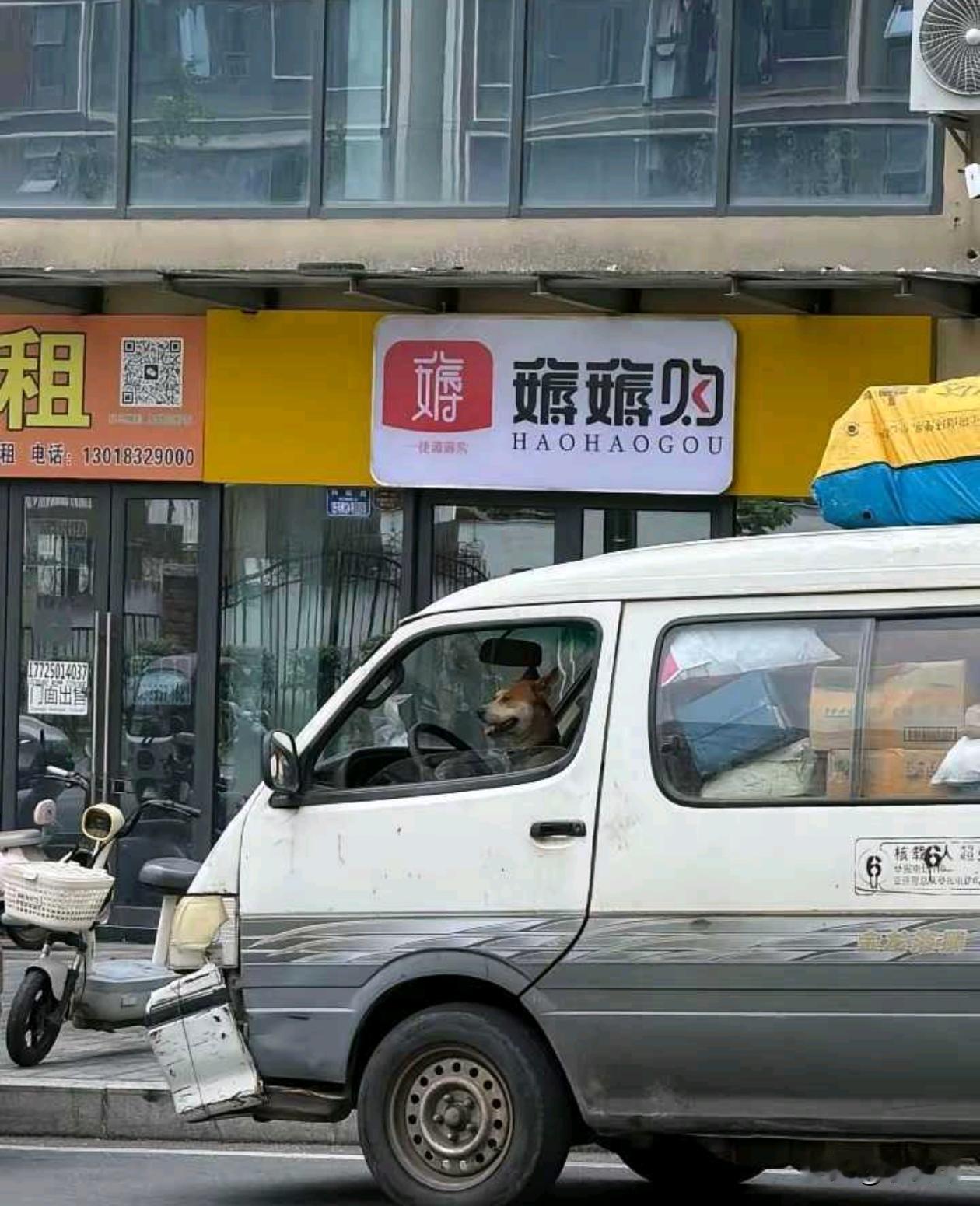 遇到真正的老司机了