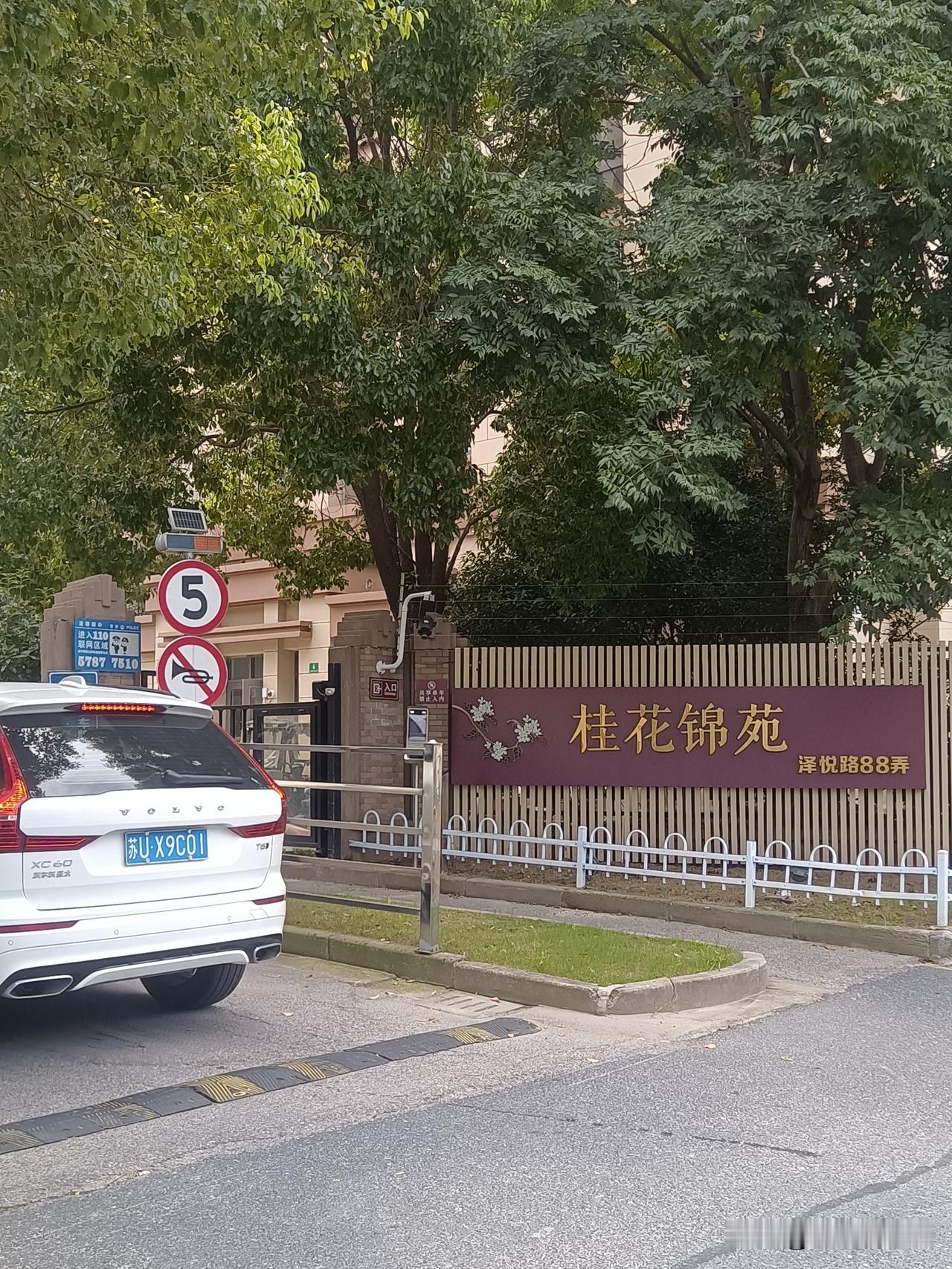 桂花锦苑，文如其名！藏在老泗泾的居民房，纯路过的！
感觉这个小区的绿化率高，咱不