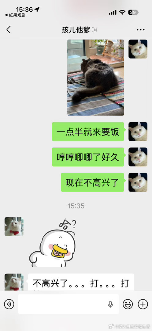 慈父多败咪