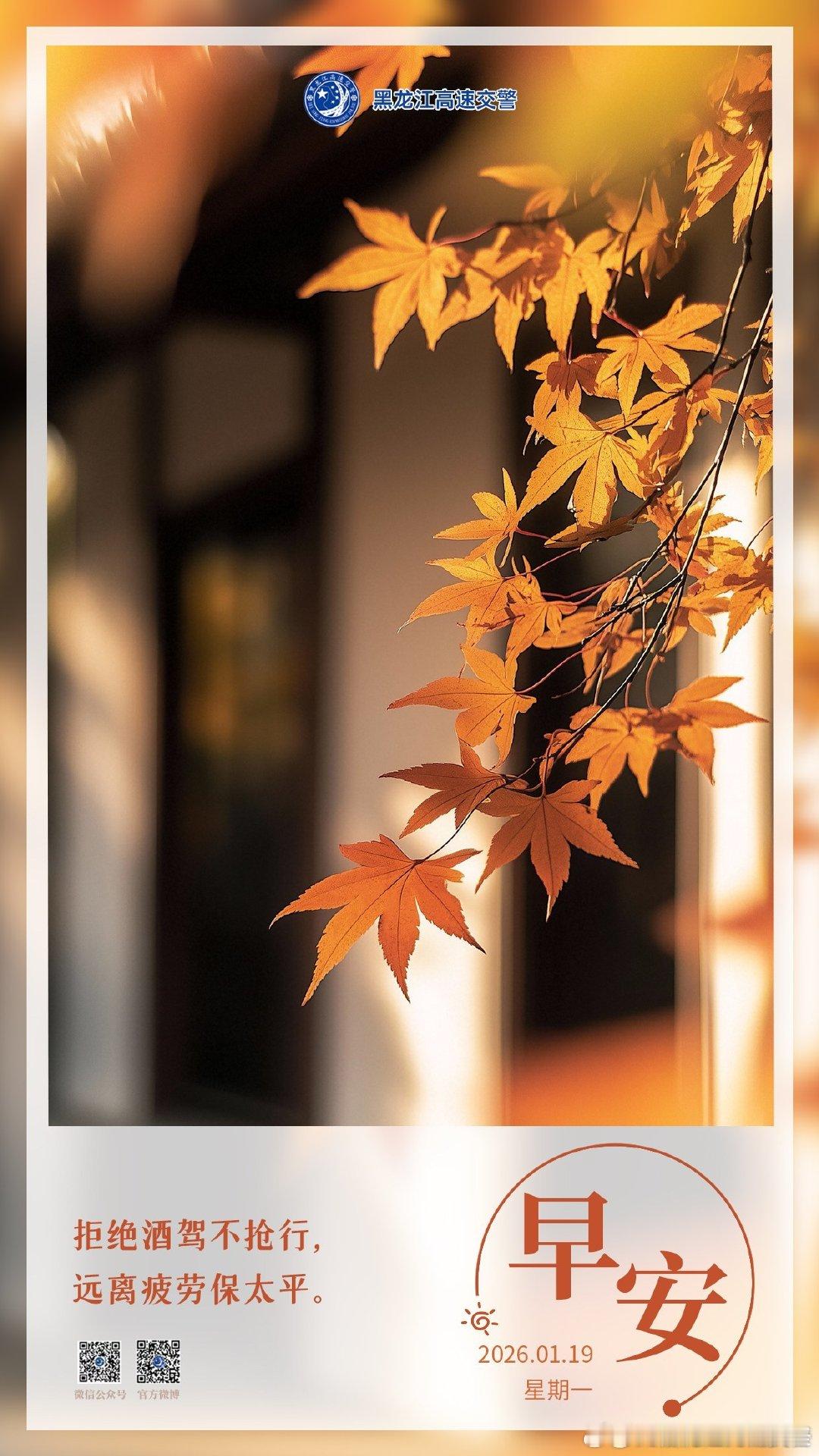 早安 拒绝酒驾不抢行，远离疲劳保太平。早安早安高小黑 （
