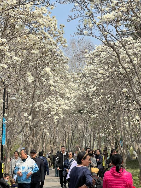 3.15实况 百花公园有一亿人···