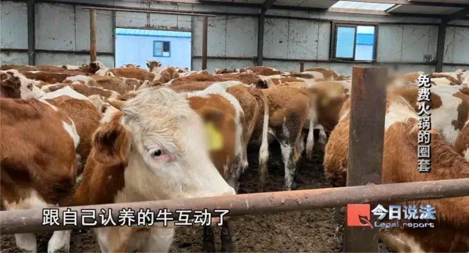 现在的诈骗手段真是防不胜防！浙江杭州一家诈骗机构，用免费火锅当诱饵，让600多名