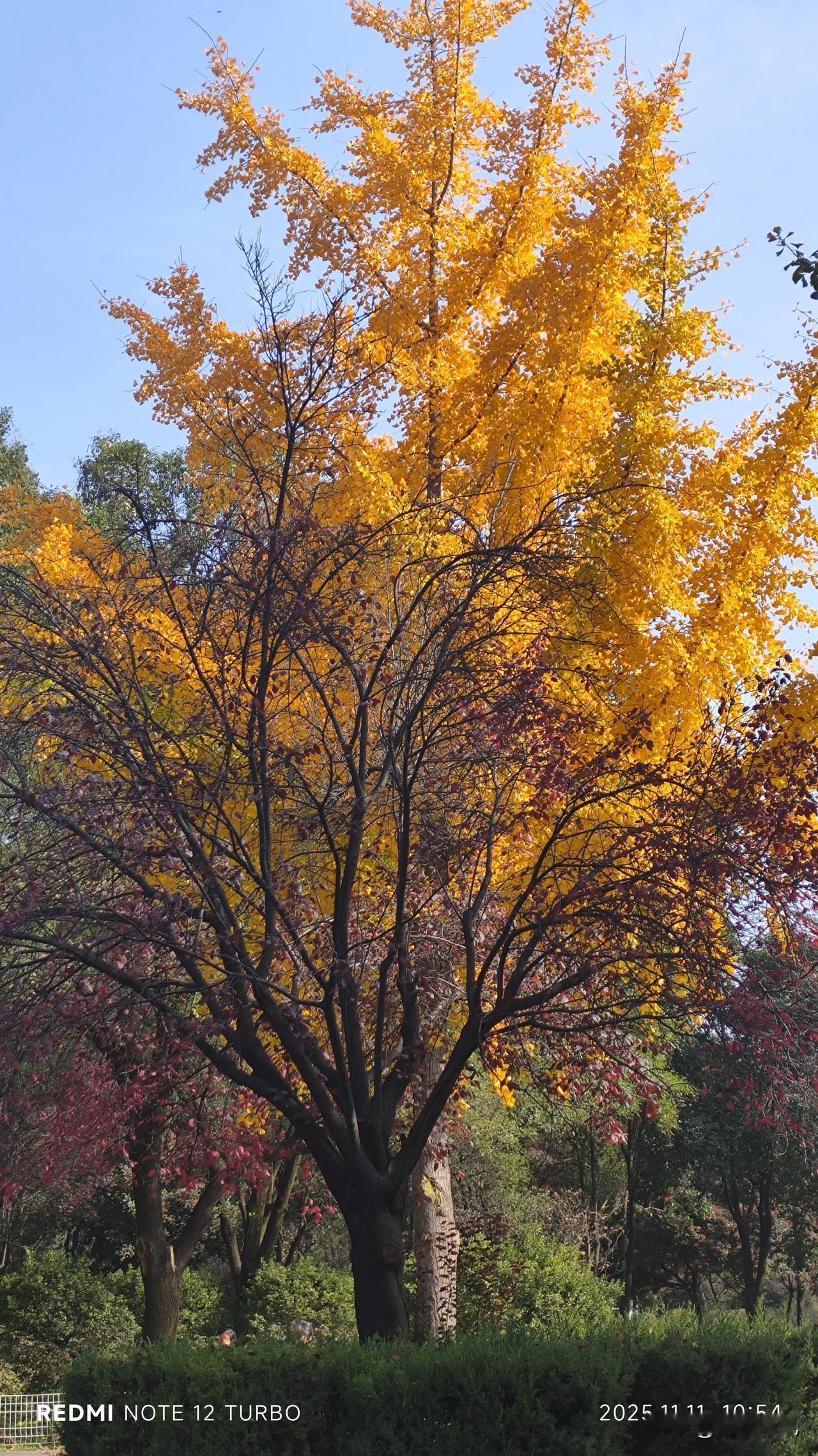 人的认知永远都需要学习和更新。如果没有网络，谁知道还有个NPD人格，还有个“自恋