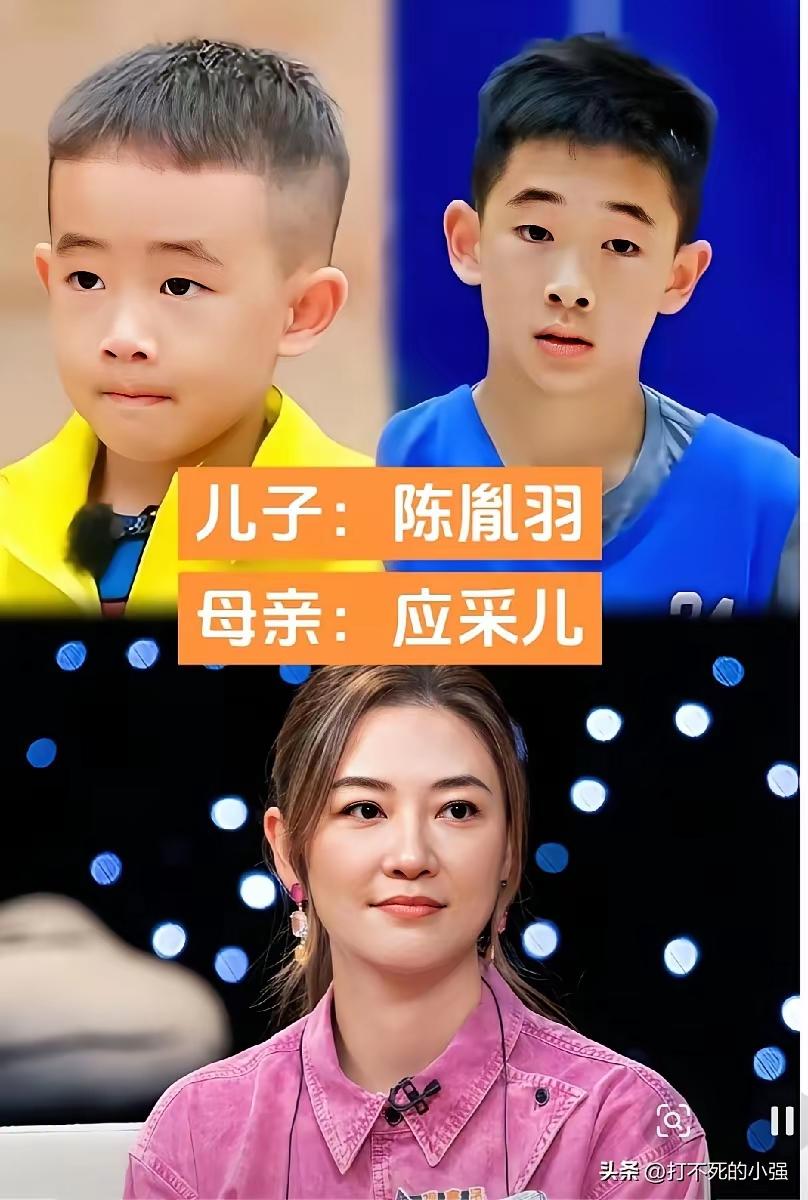 明星母子合集！儿子们个个长得虎头虎脑，一看都是那种特别有活力，特别积极向上的好孩