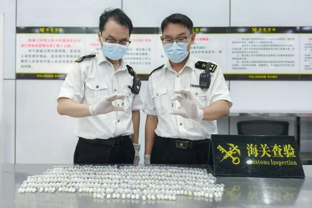 不是普通走私！318只活体巨蚁闯关，生物战打响。据6月6日报道一旅客携带318只